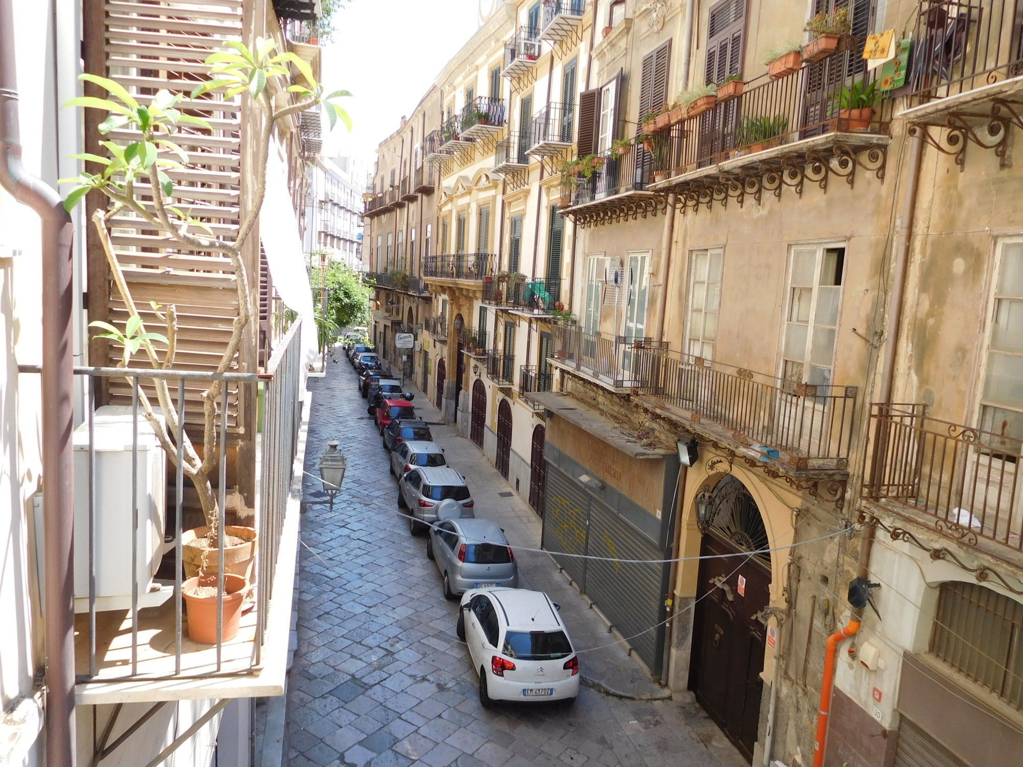 Exclusive Dependance Palermo